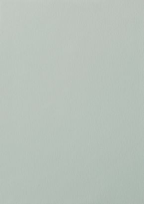 RENOLIT EXOFOL PX AGATE GREY 7038 